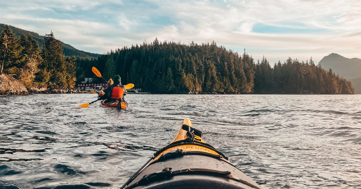 Telegraph Cove 2 Hour Evening Kayak Tour GetYourGuide