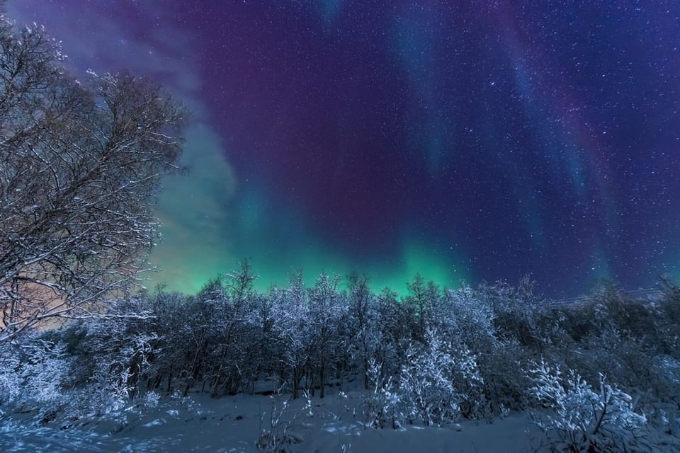 Rovaniemi: Aurora Borealis Snowmobile Safari with Campfire | GetYourGuide