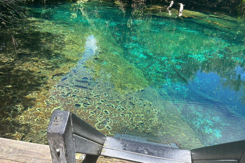 Private: Punta Cana: Animal Park, Farm, and River Adventure