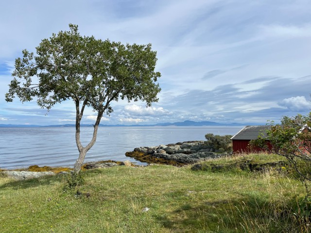 Visit Ladestien Hike - Where sea meets land in Trondheim