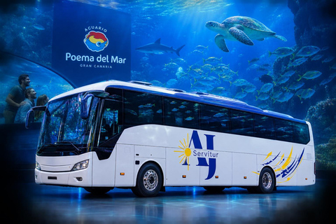 Poema del Mar and Las Canteras: Experience from the South of Gran Canaria