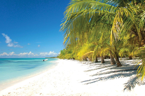 Punta Cana: Saona Island Tour with Lunch & Open Bar