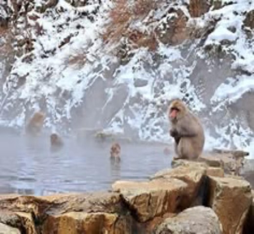 From Tokyo: Nagano Private Day Trip with Zenko-ji Temple