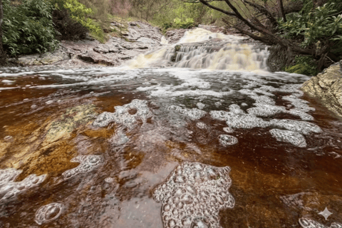 Kedah: Magnificent Jerai Multi Waterfalls Hunt & Jungle Trek Hippo: Challenging Canyon Loop (8km | 10 falls)