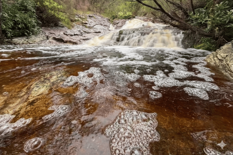 Kedah: Magnificent Jerai Multi Waterfalls Hunt & Jungle Trek Hippo: Challenging Canyon Loop (8km | 10 falls)