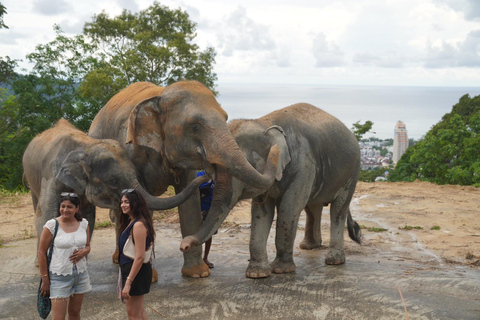 Patong: Wycieczka piesza do rezerwatu słoni z transferem z hoteluOdbiór z dowolnego miejsca w Phuket Area do Hill Tribe Elephant