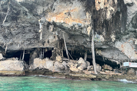 One Day Phi Phi Island by speed boat ( Join )