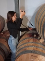 Guided vineyard&cellar tour + 6 wine tasting with tapas - Housity