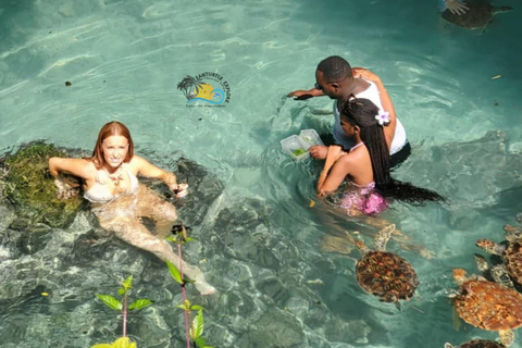 Zanzibar: Swim with Sea Turtles at Salaam Cave with Transfer Hotel Transfer Anywhere in Zanzibar