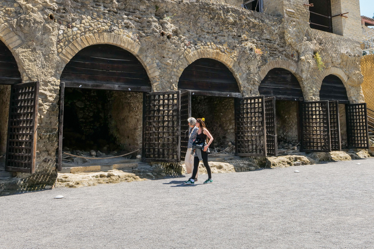Discover Herculaneum: Guided tour in English of the ancient Roman city Guided tour in English with return train ticket from Naples