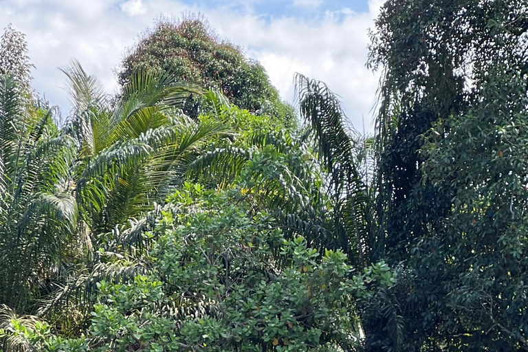 Phuket/Phang Nga: 7 Kilometer Rafting Thrill + Zipline & ATV 7 km Rafting + Zipline + One Professional Photo