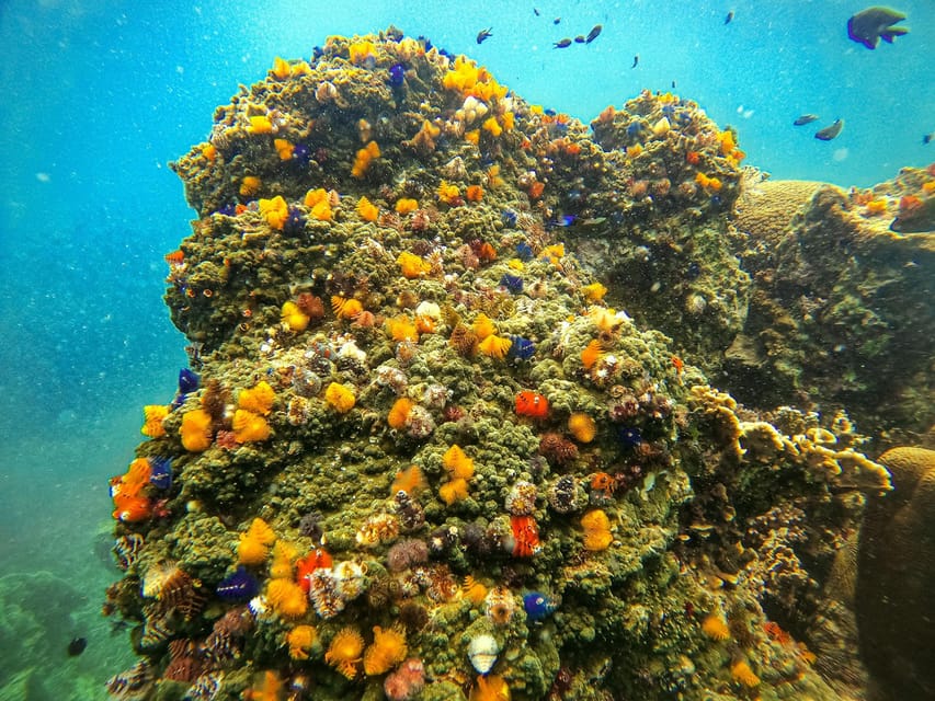 Ko Tao Excursión de snorkel a bahías ocultas y a la isla de Nang Yuan