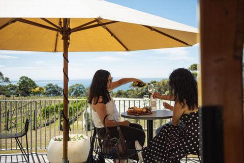 Discover Hidden Wineries in Melbourne Boutique Wine Series