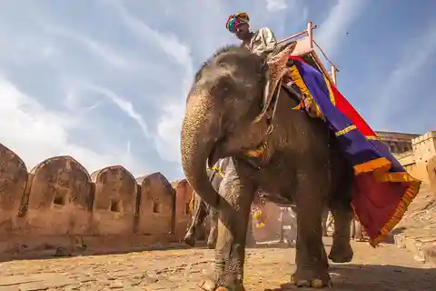 Punti salienti di Jaipur: Esplorare lo splendore della Città Rosa
