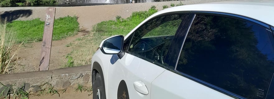 Tour de l'île de La Réunion, excursion complète (8 à 9h)