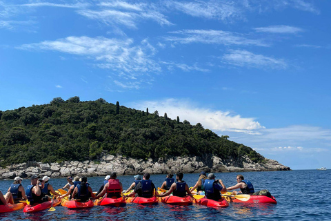 Dubrovnik: Geführte Kajaktour und Schnorcheln auf dem Meer