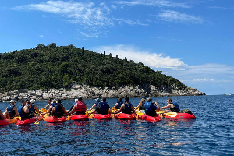 Dubrovnik: Excursión guiada en kayak de mar y snorkel