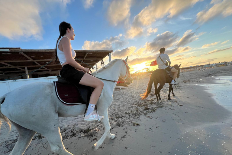 Djerba: Beginner paardrijles voor volwassenen en kinderen.