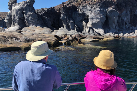 Coronado Island and Snorkel Tour