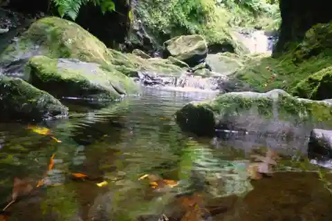 Madeira: Walking Tour Levada do Rei/Ribeiro Bonito