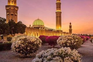Gastronomic Experiences in Muscat