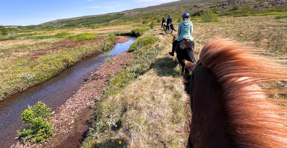 Egilsstaðir: 1,5 hr Private Icelandic Horse Riding Tour