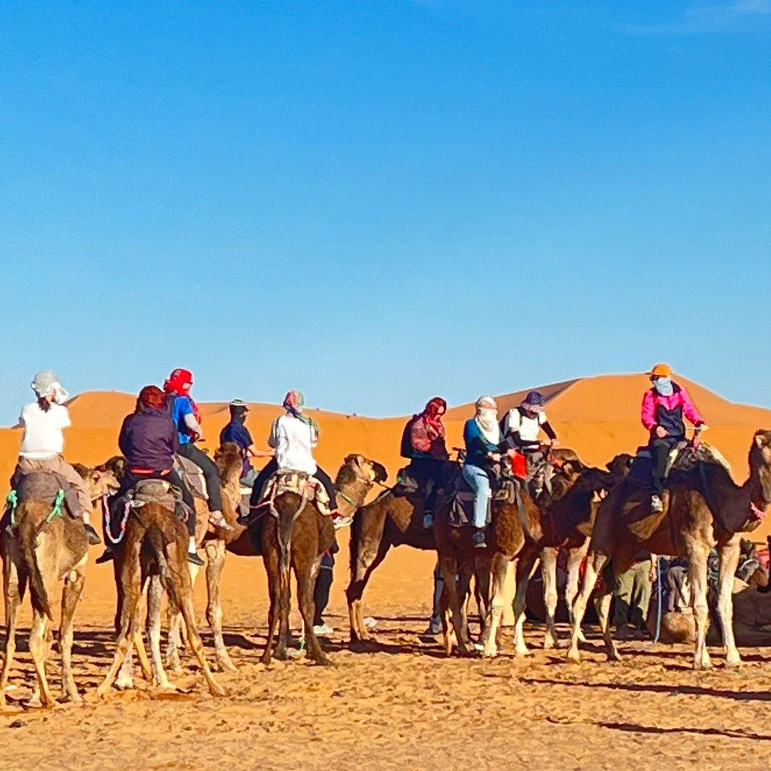Depuis Fès : Circuit de luxe de 3 jours à Marrakech via Merzouga
