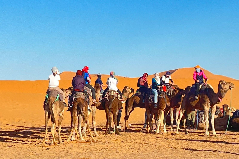 From Fez: 3-Day Luxury tour to Marrakech via Merzouga Tour with Luxury Camp