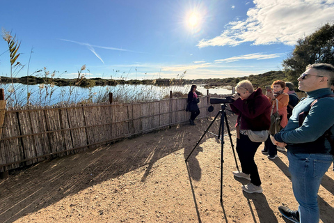 Albufera de Valencia: Mediterranean Forest and Sailing on the Albujaira