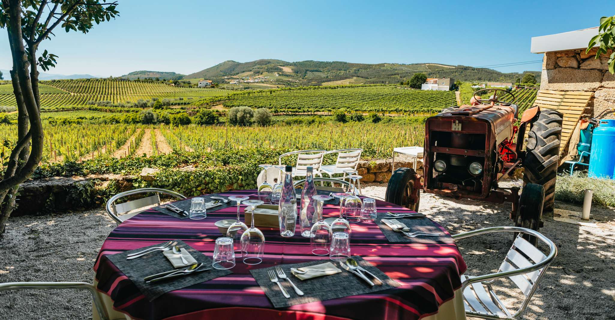 Douro Valley, Wine Tour with Lunch, Tastings & River Cruise - Housity