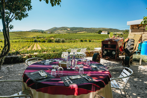 Vallée du Douro : circuit vins avec déjeuner et croisièrePrise en charge et le retour à votre hôtel inclus