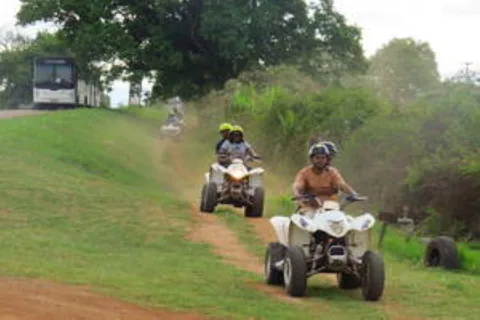 Hazyview: Guided Macadamia Plantation and Forest Quad Safari