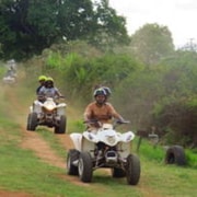 Hazyview : Safari guidé en quad dans la plantation de macadamia et dans la forêt