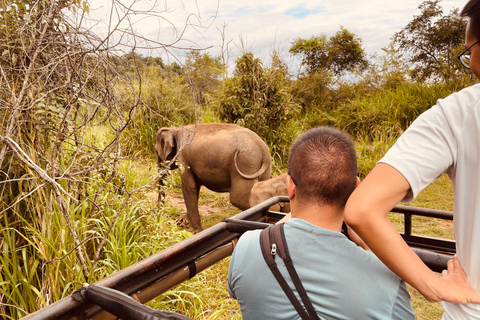 3-Day Sigiriya Tour: Village Experience & Elephant Safari