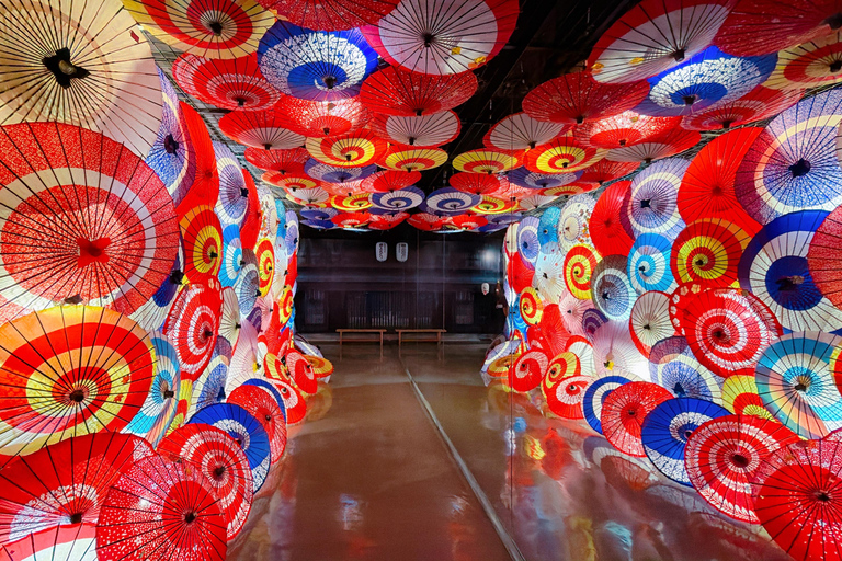 Gujo Hachiman Day Trip: Mountain Castle & Traditional Town The popular Gujyo town tour