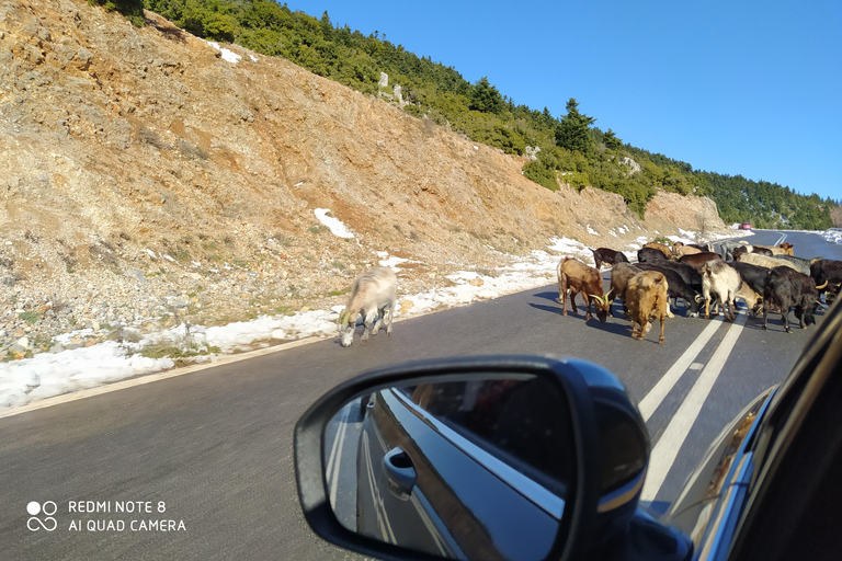 Best of Greece 7-dniowa prywatna wycieczka Peloponez Delfy Meteory