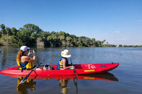 Florida: Indian River Daytime Manatee and Dolphin Kayak Tour Clear Bottom Kayak Day Tour