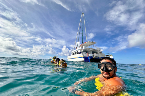 مغامرة الغوص مع سلحفاة وايكيكي