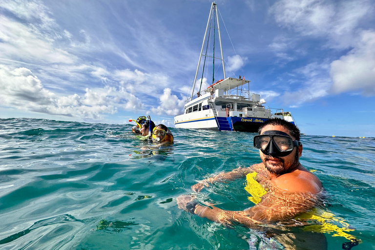مغامرة الغوص مع سلحفاة وايكيكي