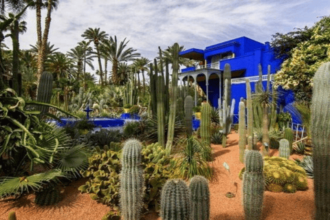 Tuk Tuk Marrakech Private Tour :Audio guide, Gift & Pastries 1 hours Tuk Tuk Tours