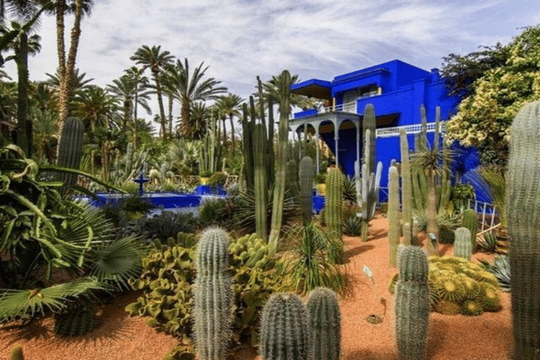 Tuk Tuk Marrakech Private Tour :Audio guide, Gift & Pastries 1 hours Tuk Tuk Tours