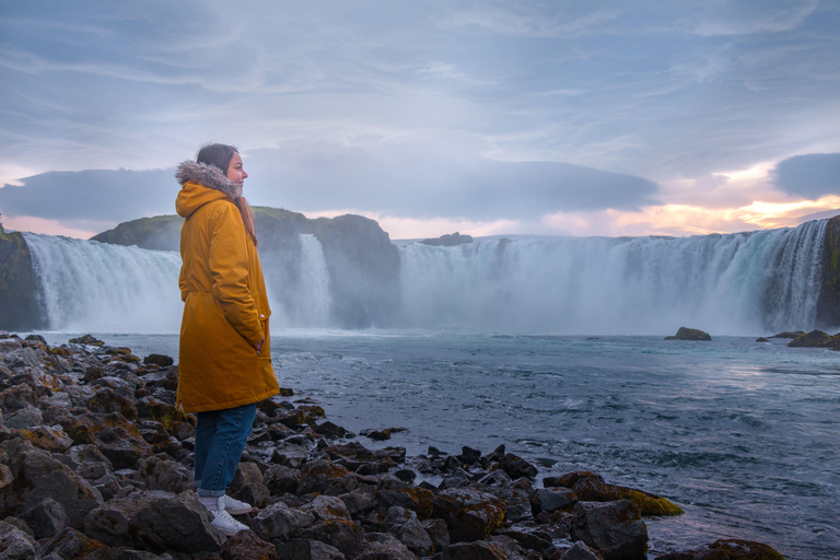 Akureyri: Goðafoss Waterfall and Whale Watching Tour