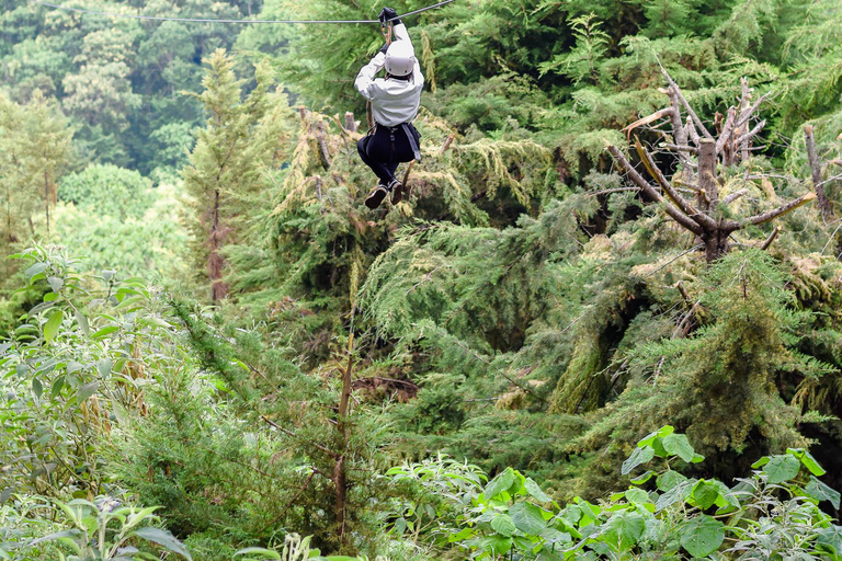 Kenya: la più lunga avventura in zipline in Africa a The Forest.