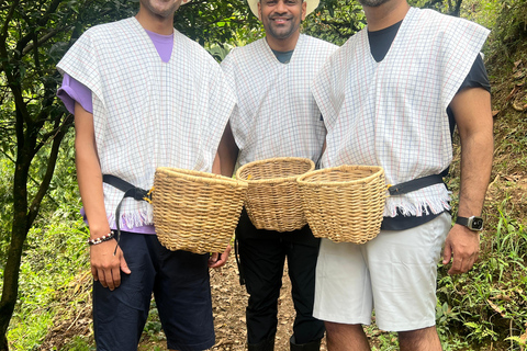 麦德林：咖啡农场之旅含品鉴与采摘体验麦德林：咖啡农场之旅，含品鉴与接送服务