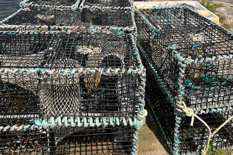 Inverness: Highland Dining and Folklore Experience