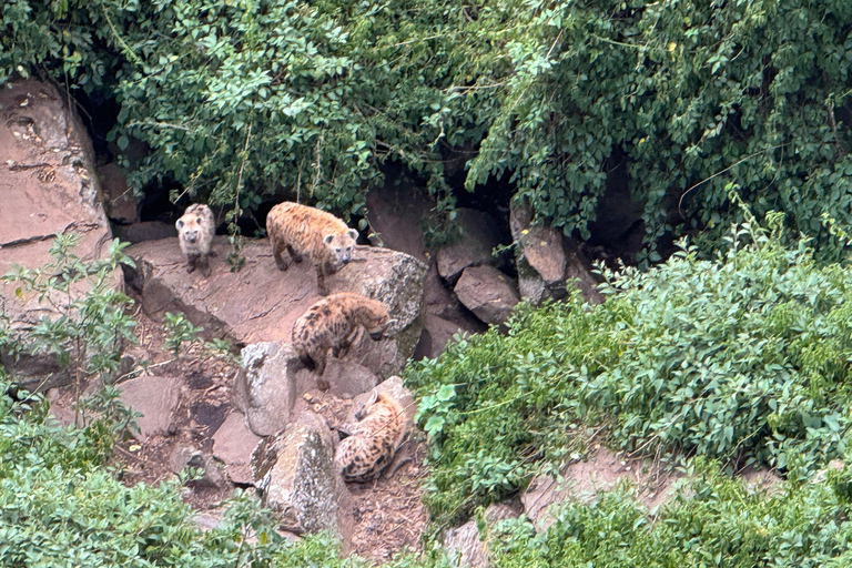 Akaro Village Sunrise & Sunset Wildlife Hike – Entoto