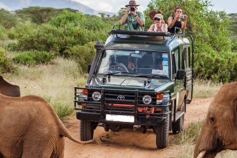12 jours de safari combiné Kenya et Tanzanie avec les Big Five en Jeep 4x412 jours de safari combiné Kenya et Tanzanie Big five