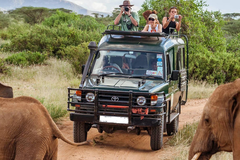 12 jours de safari combiné Kenya et Tanzanie avec les Big Five en Jeep 4x412 jours de safari combiné Kenya et Tanzanie Big five