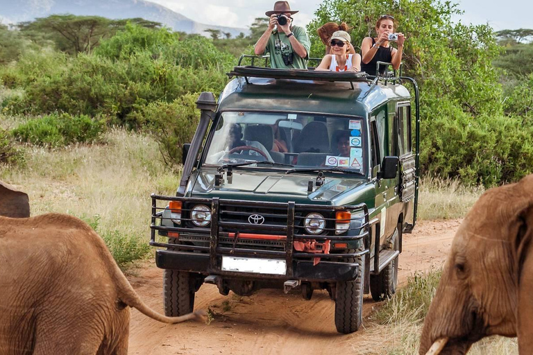 12-dniowe safari Big Five w Kenii i Tanzanii na jeepie 4x412-dniowe safari w Kenii i Tanzanii dla Wielkiej Piątki