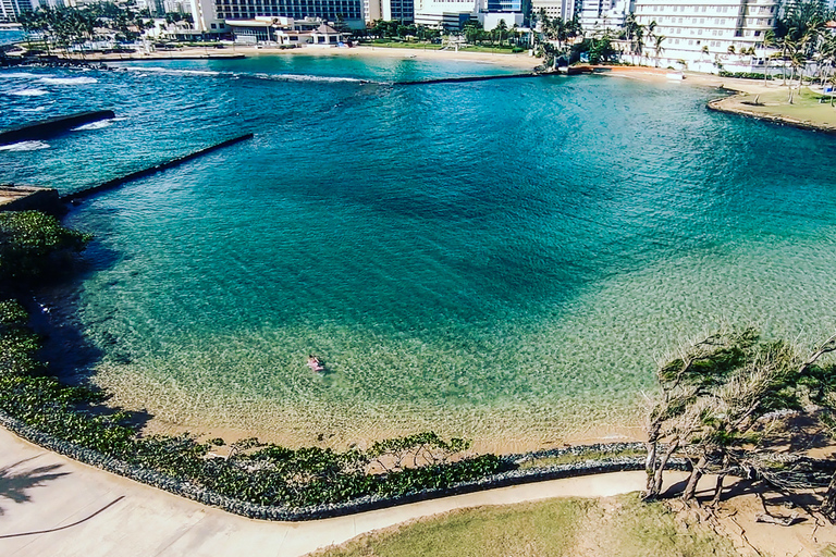 Puerto Rico: Snorkeling with Turtles Adventure